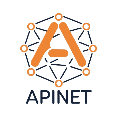 Apinet - Profesjonalne Usługi IT